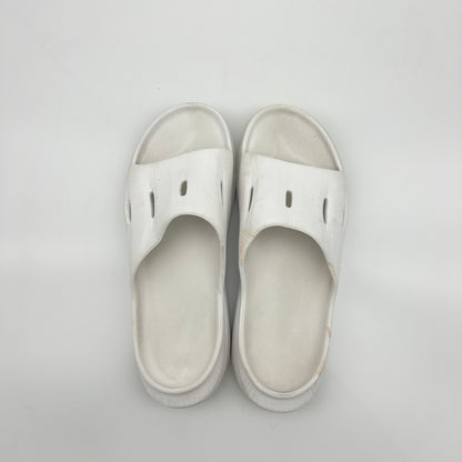 Original Recovery Slides – White