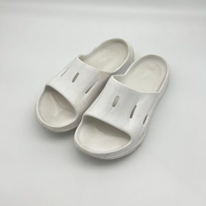 Original Recovery Slides – White