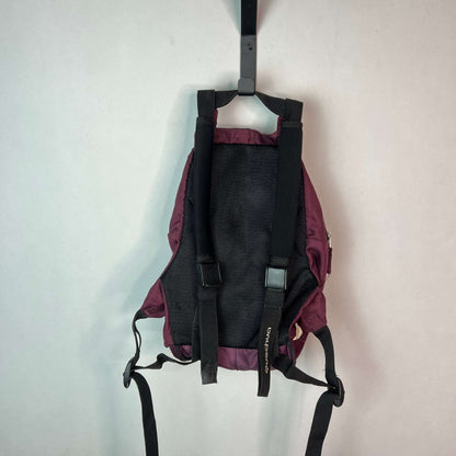 Quechua Arpenaz 15L Hiking Backpack Comfort Gears