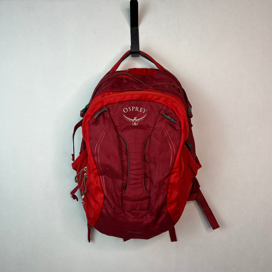 Osprey Pogo 24L Youth Backpack