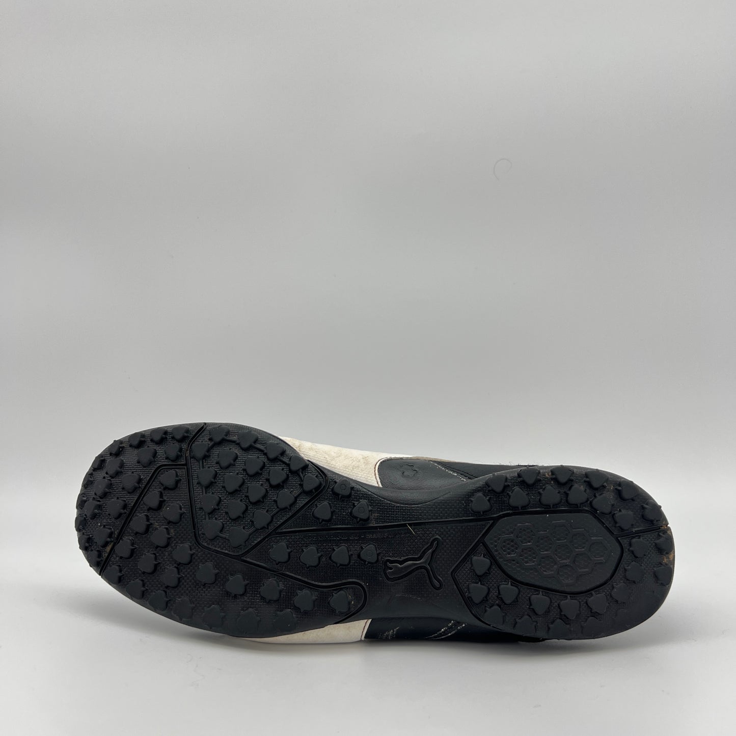 Puma Borussia TT Evo TF