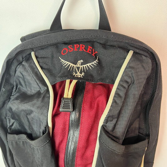 Vintage Osprey Waypoint 15L Daypack